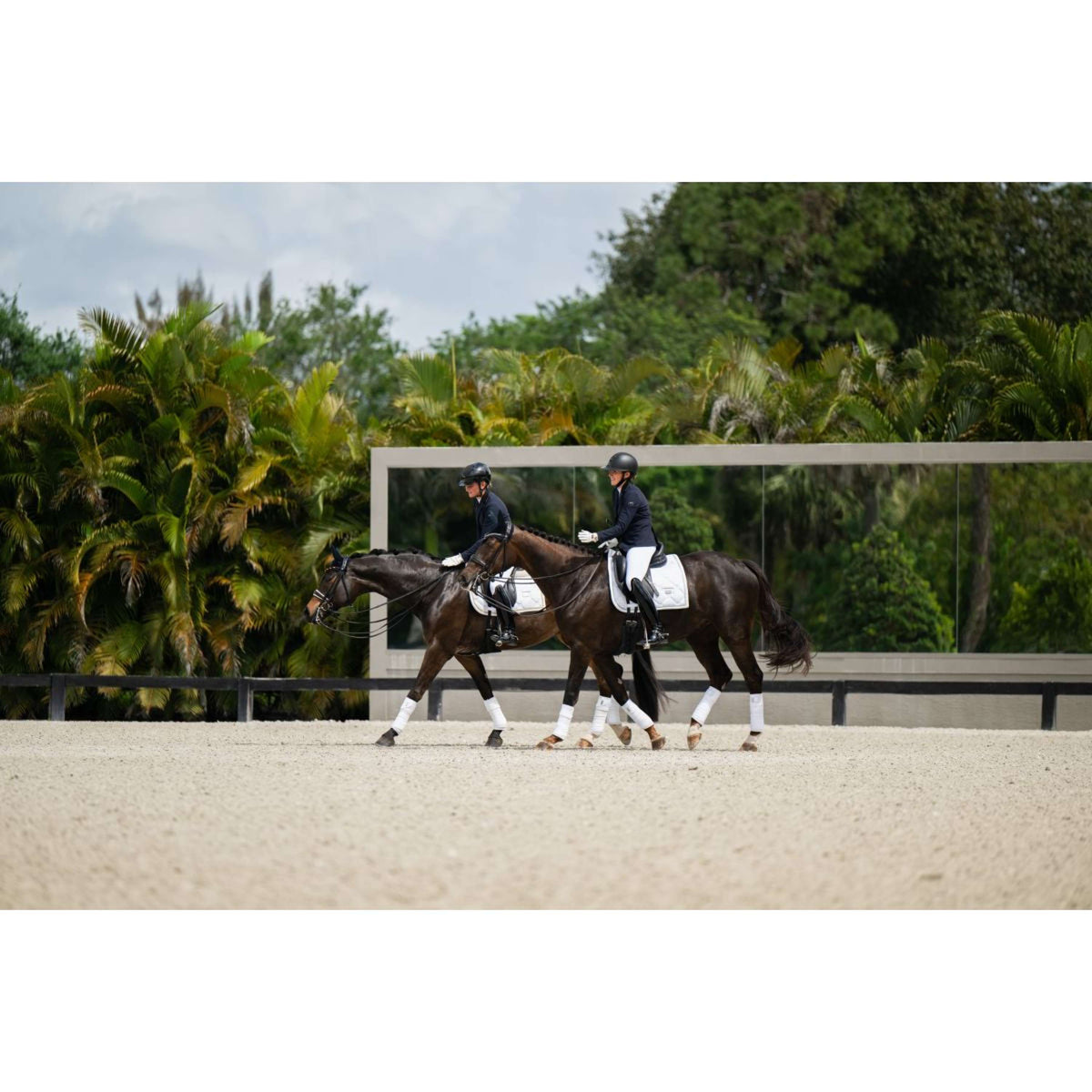 Equestrian Stockholm Zadeldekje Dressuur White Silver