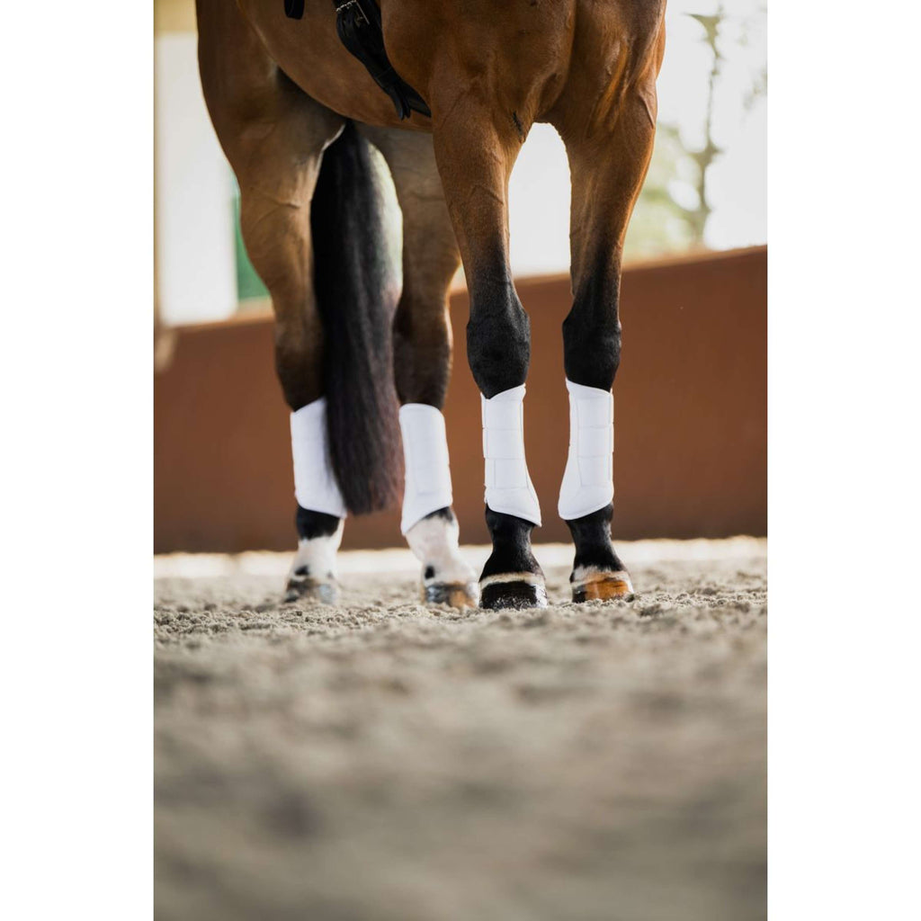 Equestrian Stockholm Beenbeschermers Classic Mesh White Silver