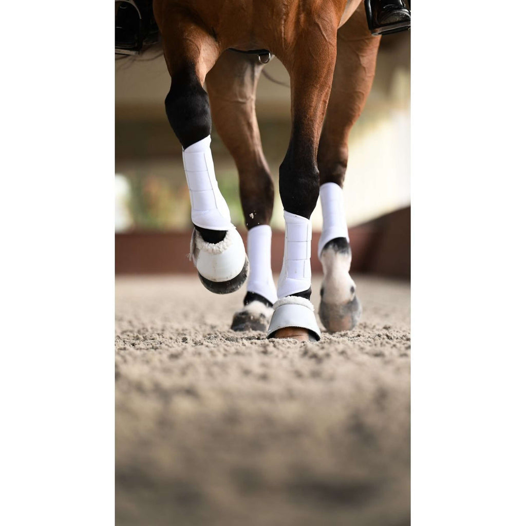 Equestrian Stockholm Beenbeschermers Classic Mesh White Silver