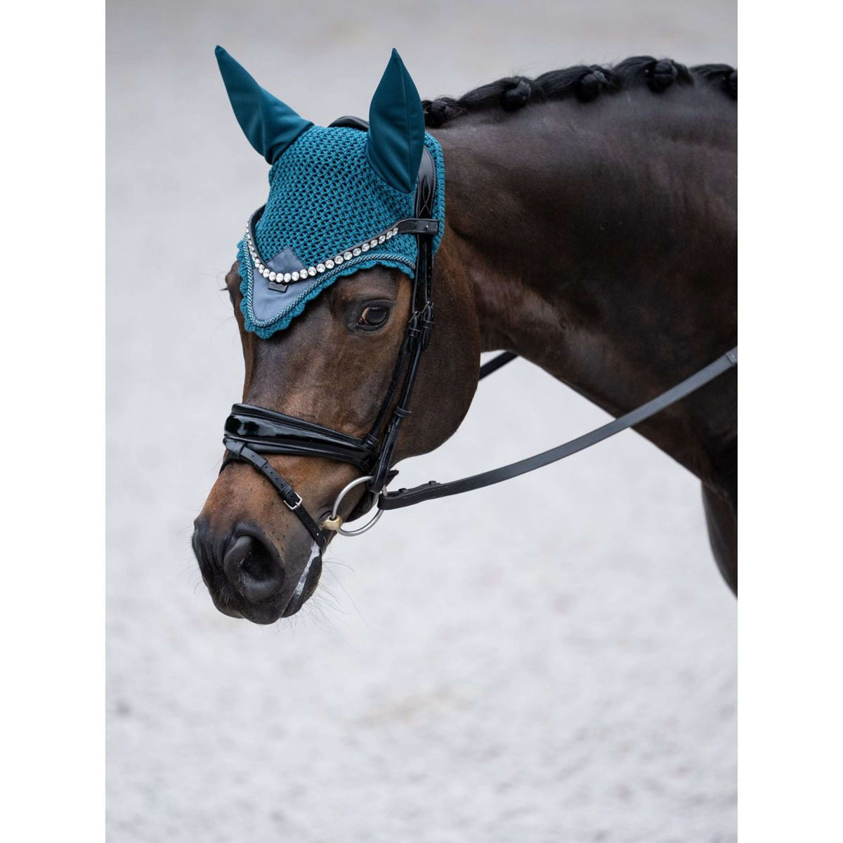 Equestrian Stockholm Oornetje Teal Blue