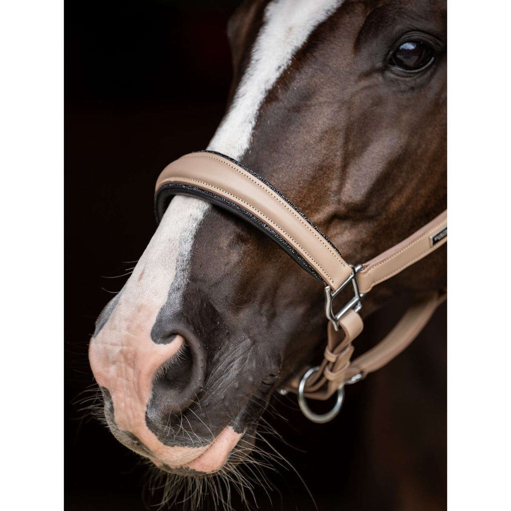 Equestrian Stockholm Halster Glimmer Leather Anatomic Sand