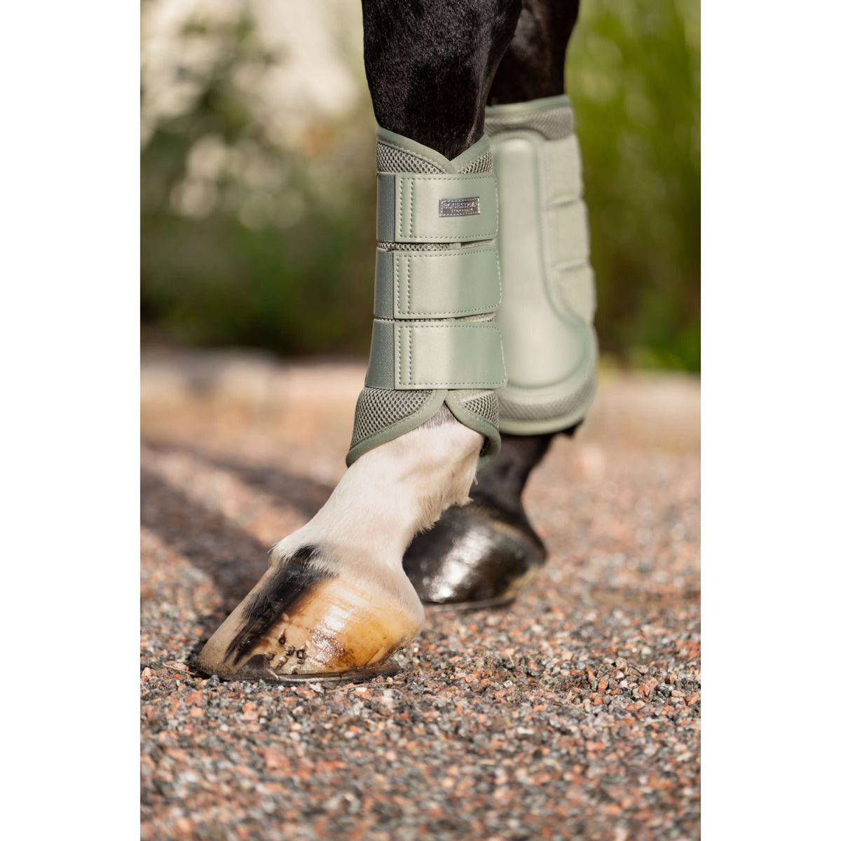 Equestrian Stockholm Beenbeschermers Classic Mesh Pistachio White