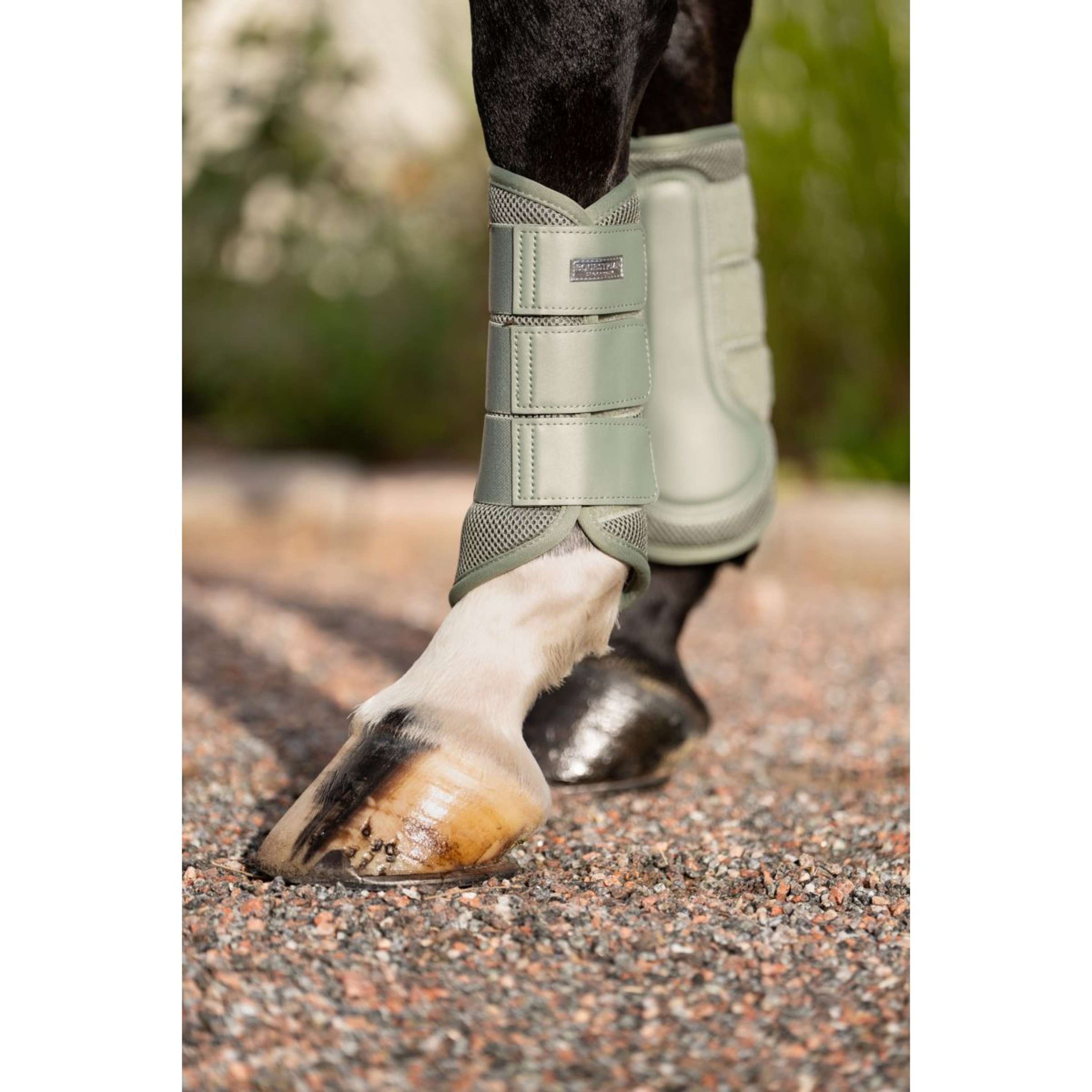 Equestrian Stockholm Beenbeschermers Classic Mesh Pistachio White