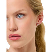 Equestrian Stockholm Oorbellen Logo Silver