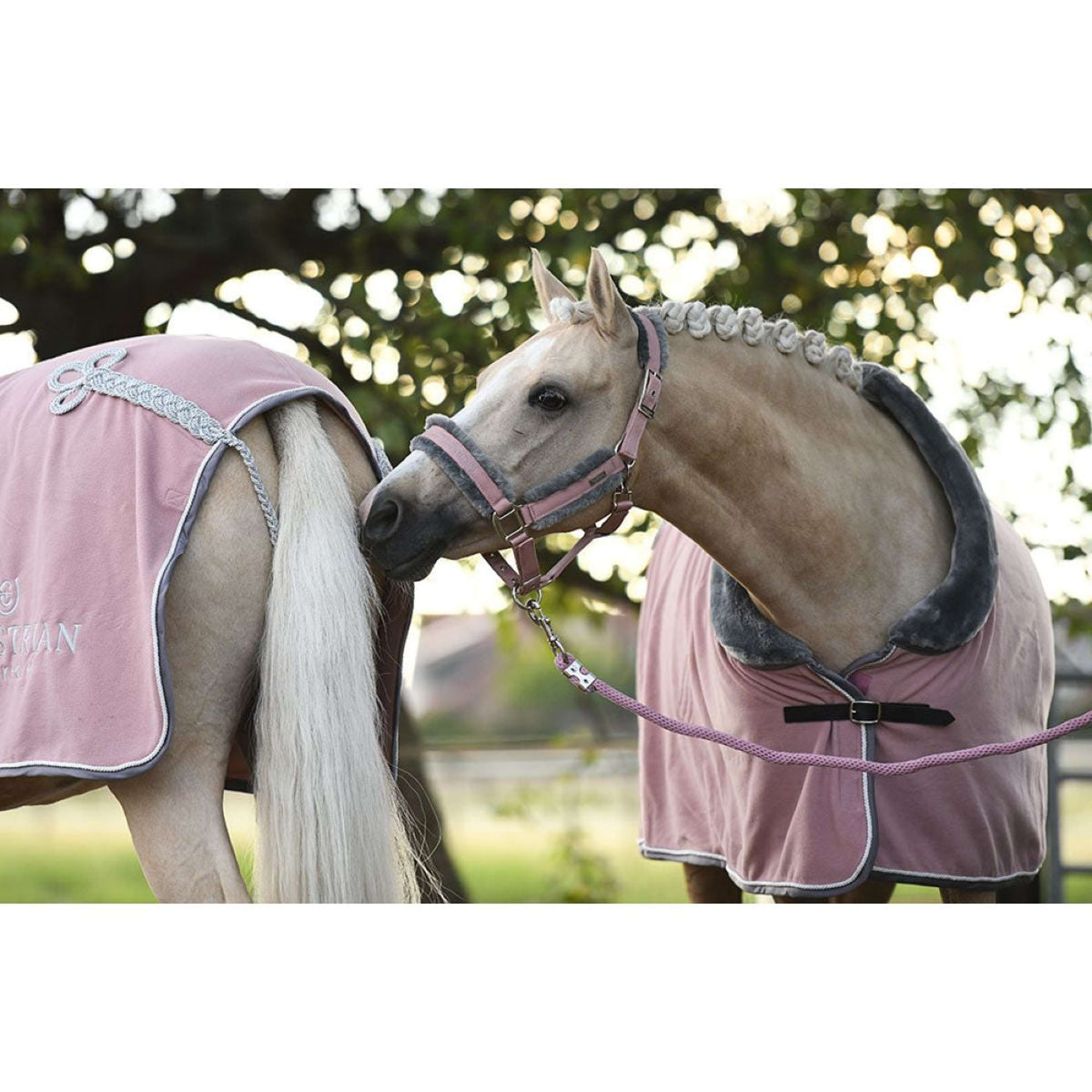 Equestrian Stockholm Halster & Touw Fur Roze