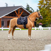 Equestrian Stockholm Zadeldekje Line Dressuur Zwart