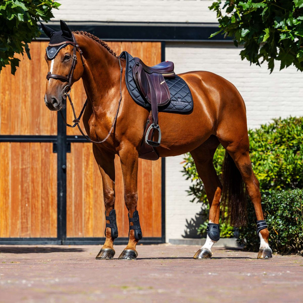 Equestrian Stockholm Zadeldekje Line Springen Zwart