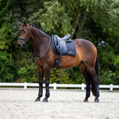 Equestrian Stockholm Zadeldekje Line Dressuur Zwart