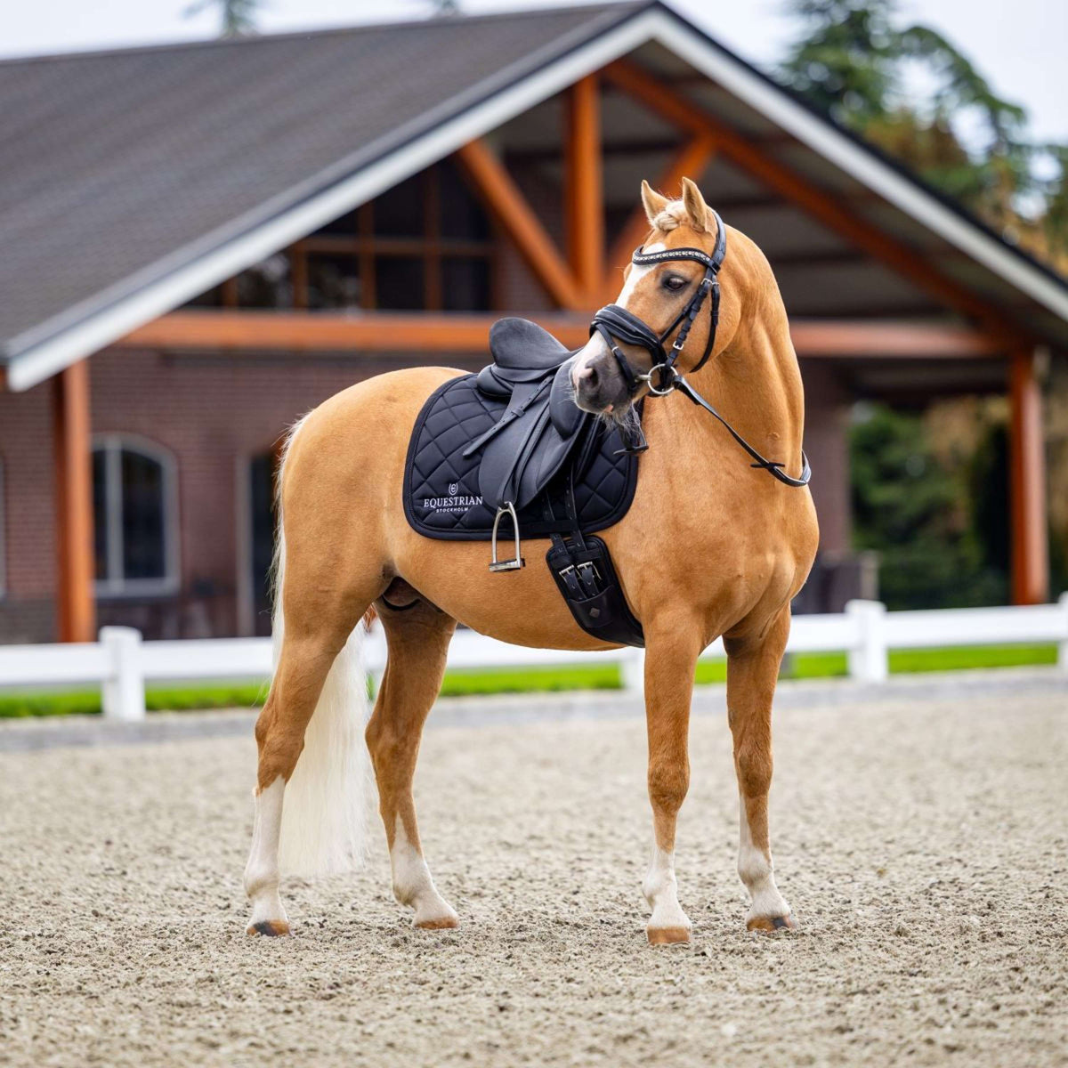 Equestrian Stockholm Zadeldekje Line Dressuur Zwart