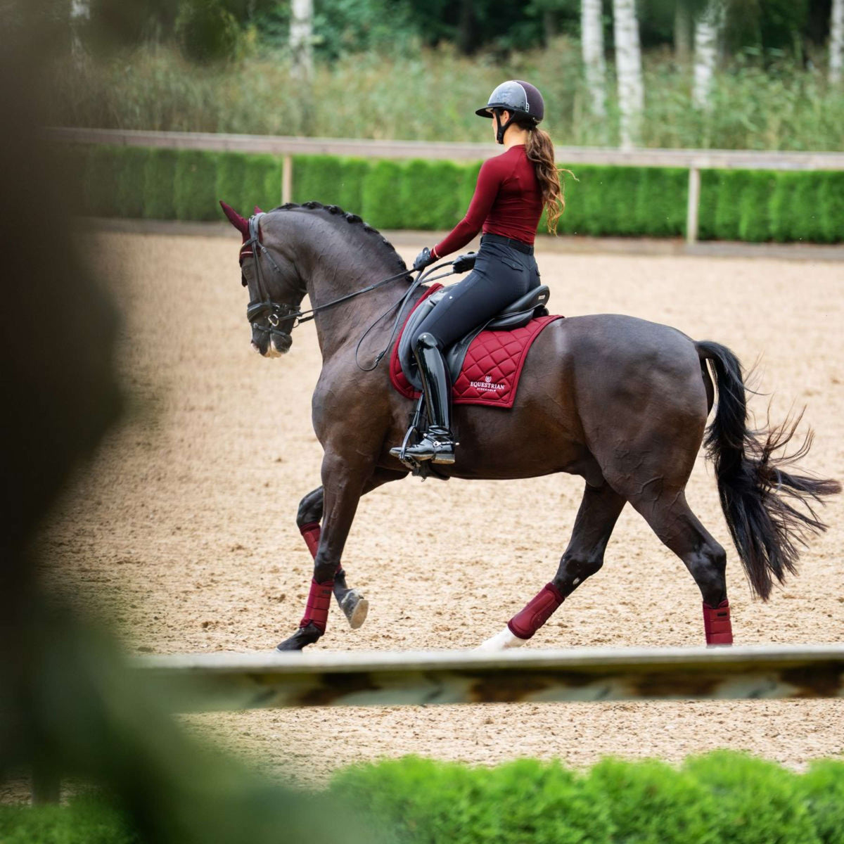 Equestrian Stockholm Zadeldekje Line Dressuur Bordeaux