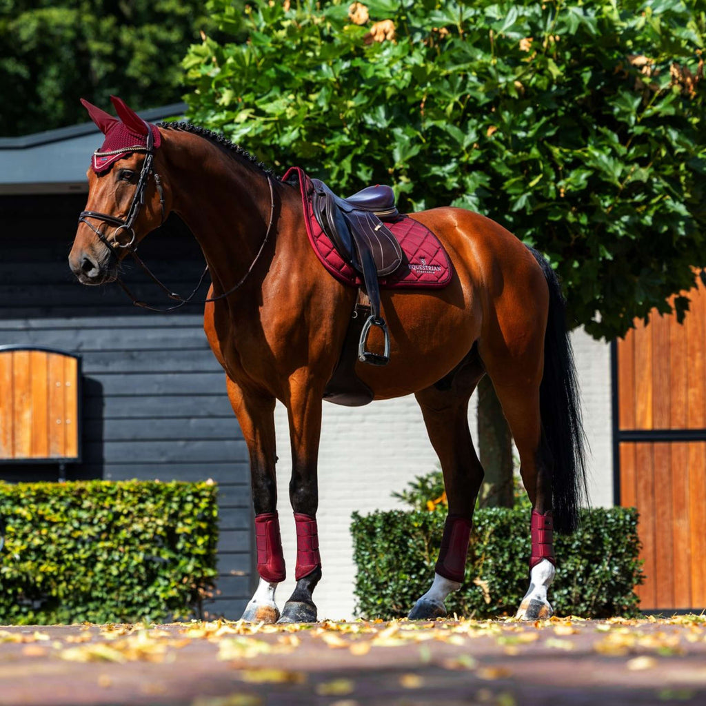 Equestrian Stockholm Zadeldekje Line Springen Bordeaux