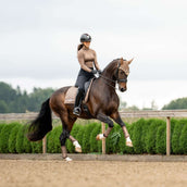 Equestrian Stockholm Zadeldekje Line Dressuur Champagne