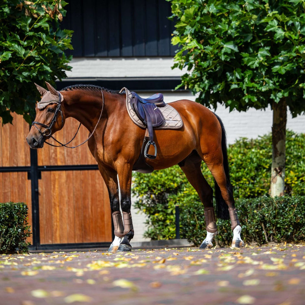 Equestrian Stockholm Zadeldekje Line Springen Champagne