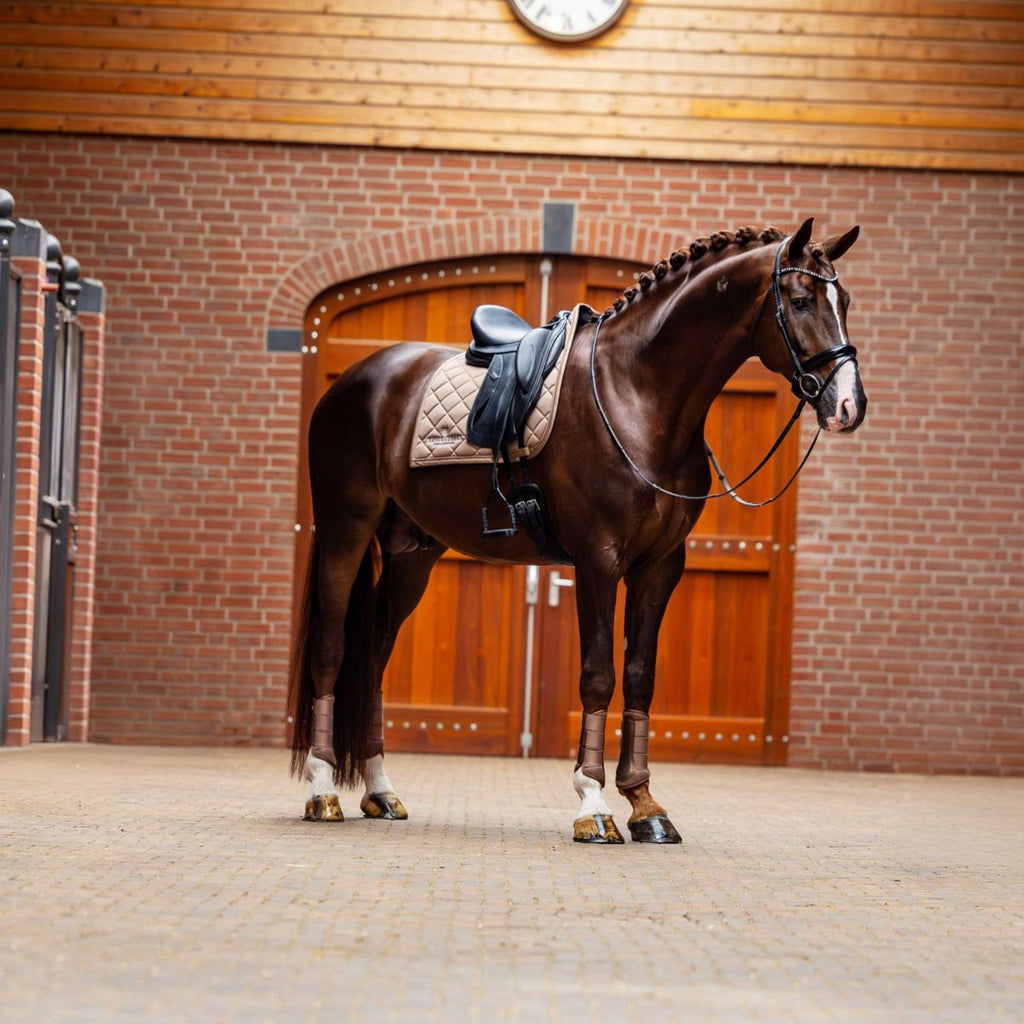 Equestrian Stockholm Zadeldekje Line Dressuur Champagne