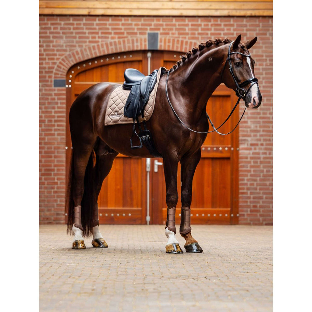 Equestrian Stockholm Beenbeschermers Classic Mesh Champagne