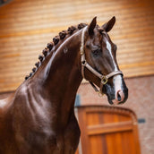 Equestrian Stockholm Halster Line Champagne