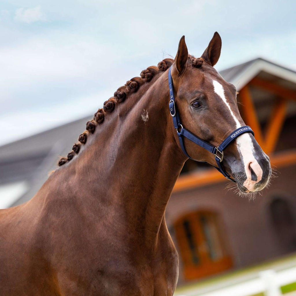 Equestrian Stockholm Halster Line Navy