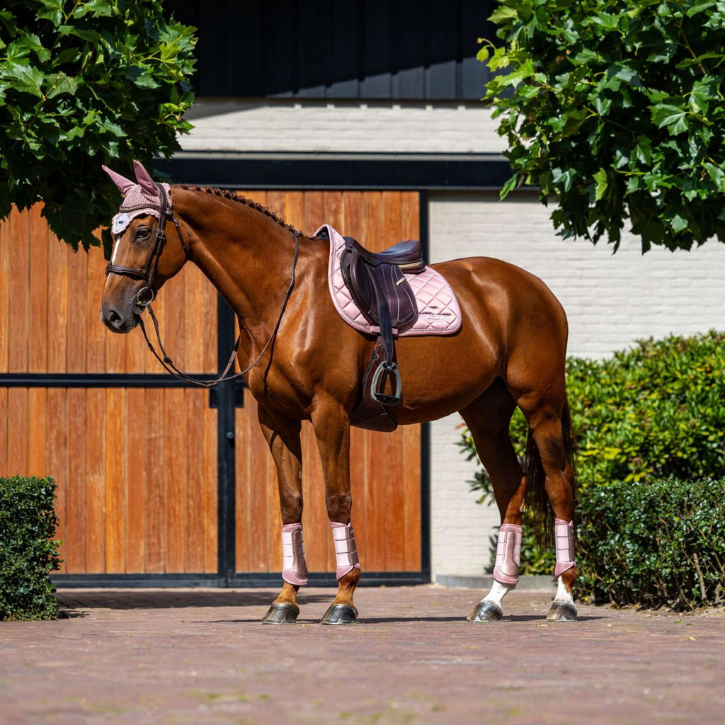 Equestrian Stockholm Zadeldekje Line Springen Roze