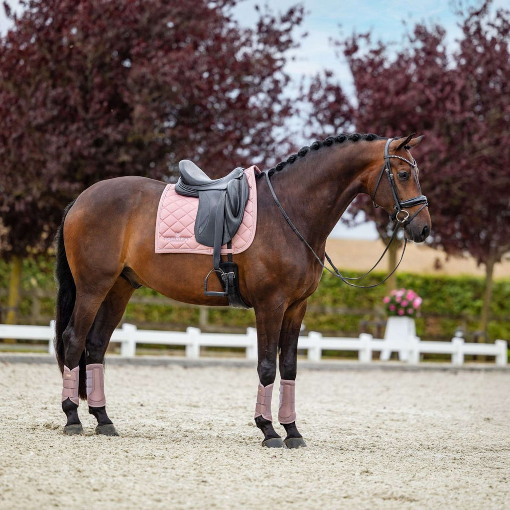 Equestrian Stockholm Zadeldekje Line Dressuur Roze