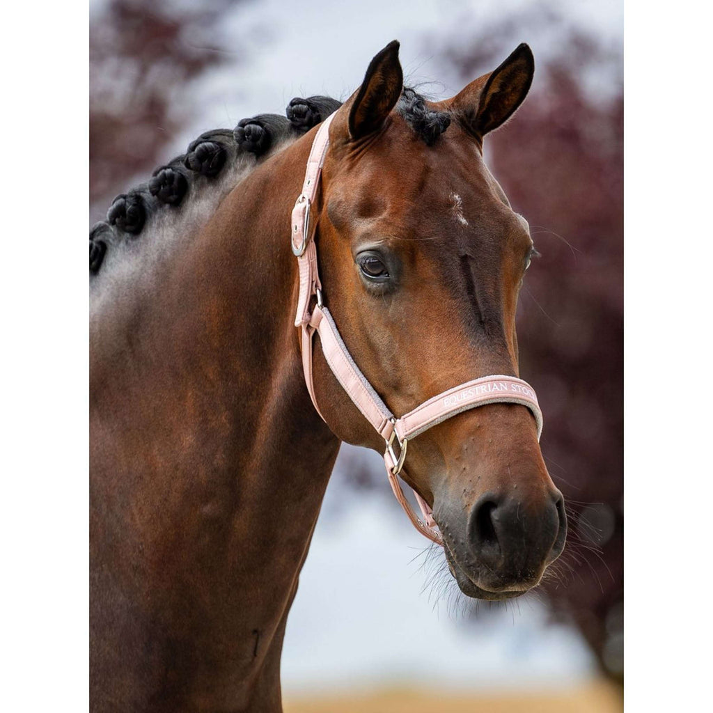 Equestrian Stockholm Halster Line Roze