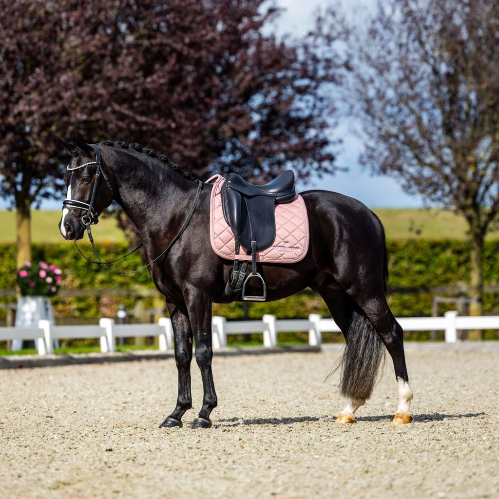 Equestrian Stockholm Zadeldekje Line Dressuur Roze