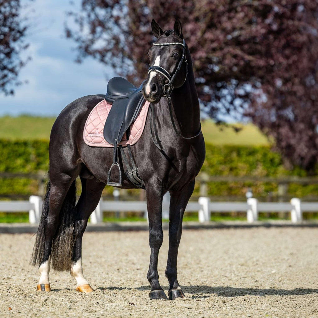 Equestrian Stockholm Zadeldekje Line Dressuur Roze