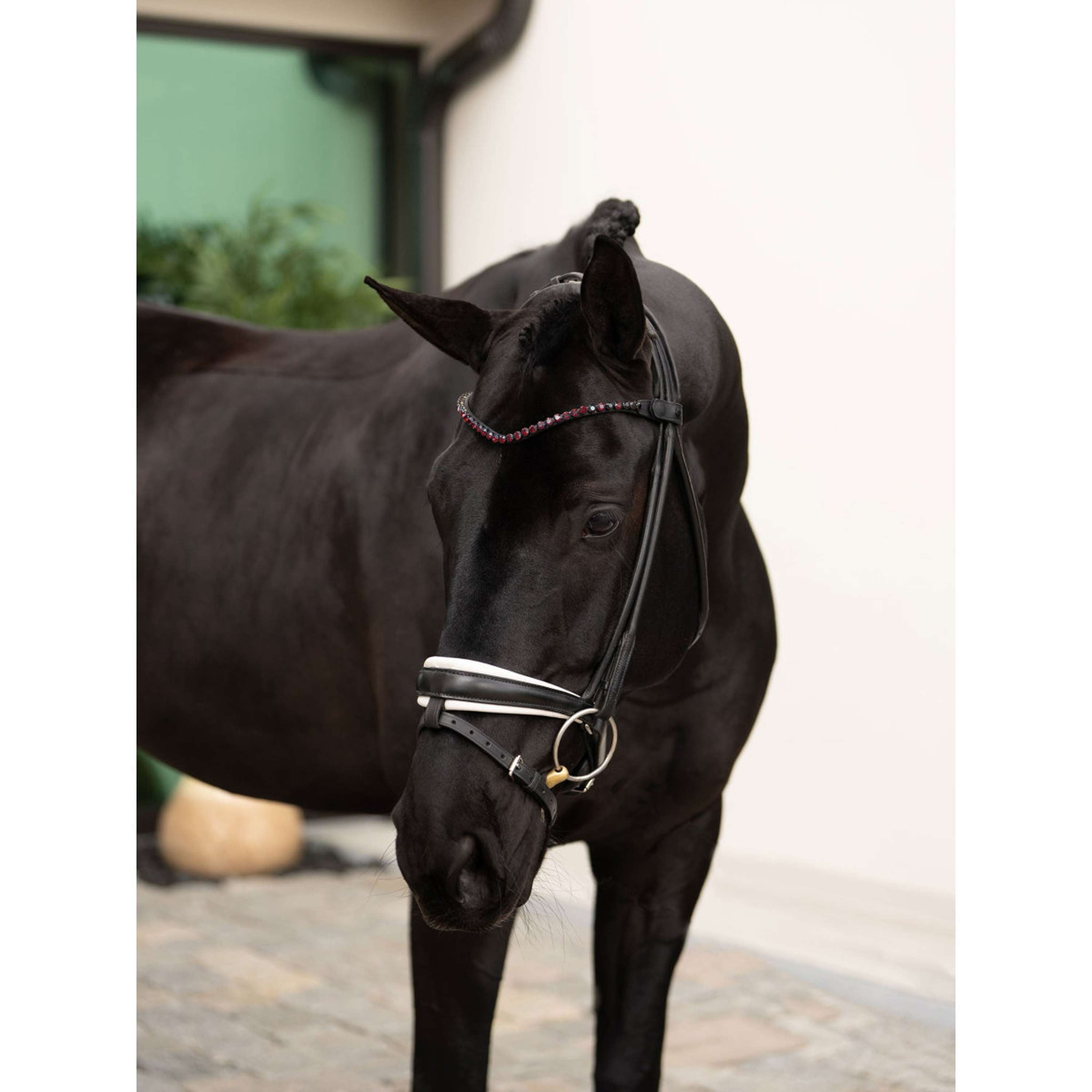 Equestrian Stockholm Frontriem Faded 8mm Merlot