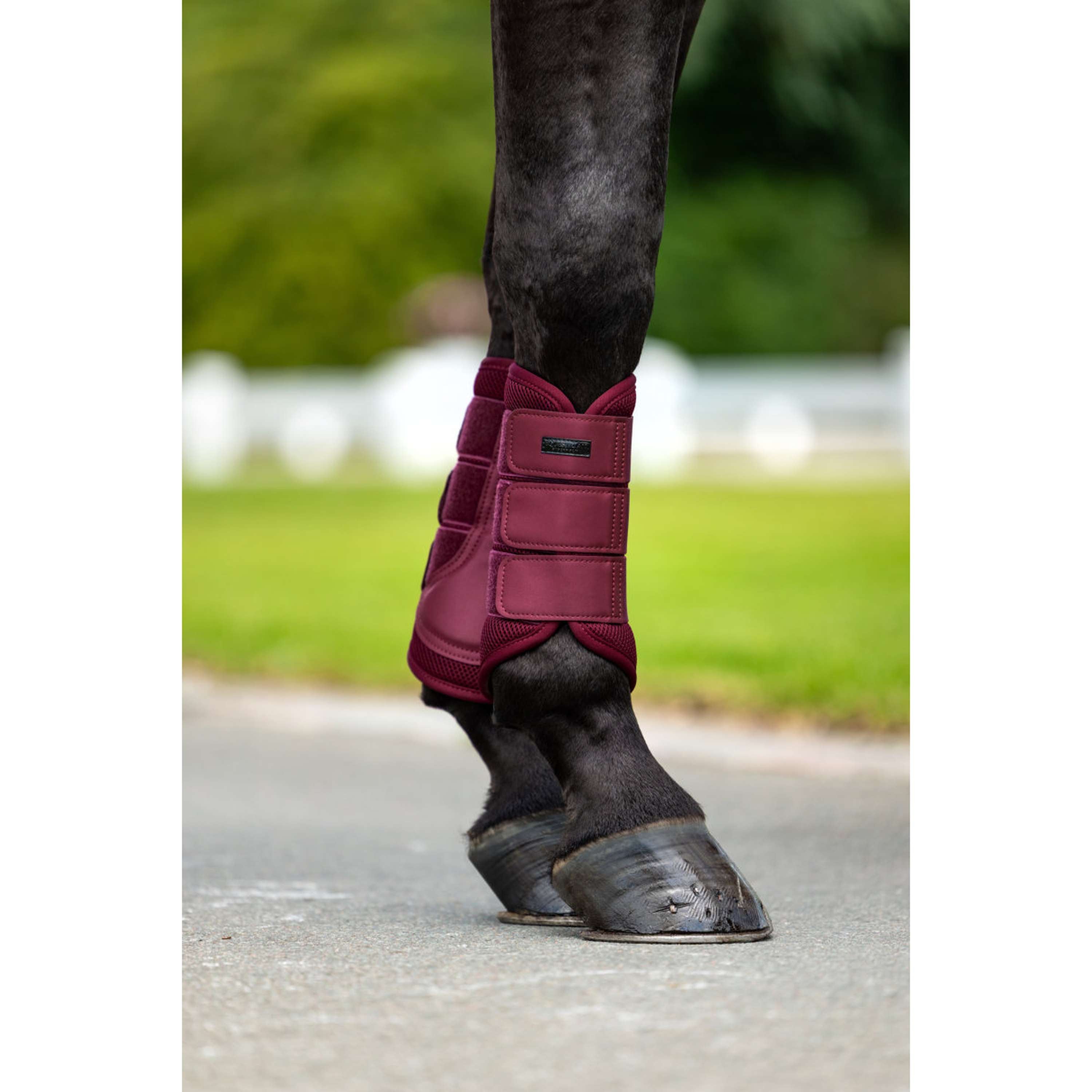 Equestrian Stockholm Beenbeschermers Mesh Merlot