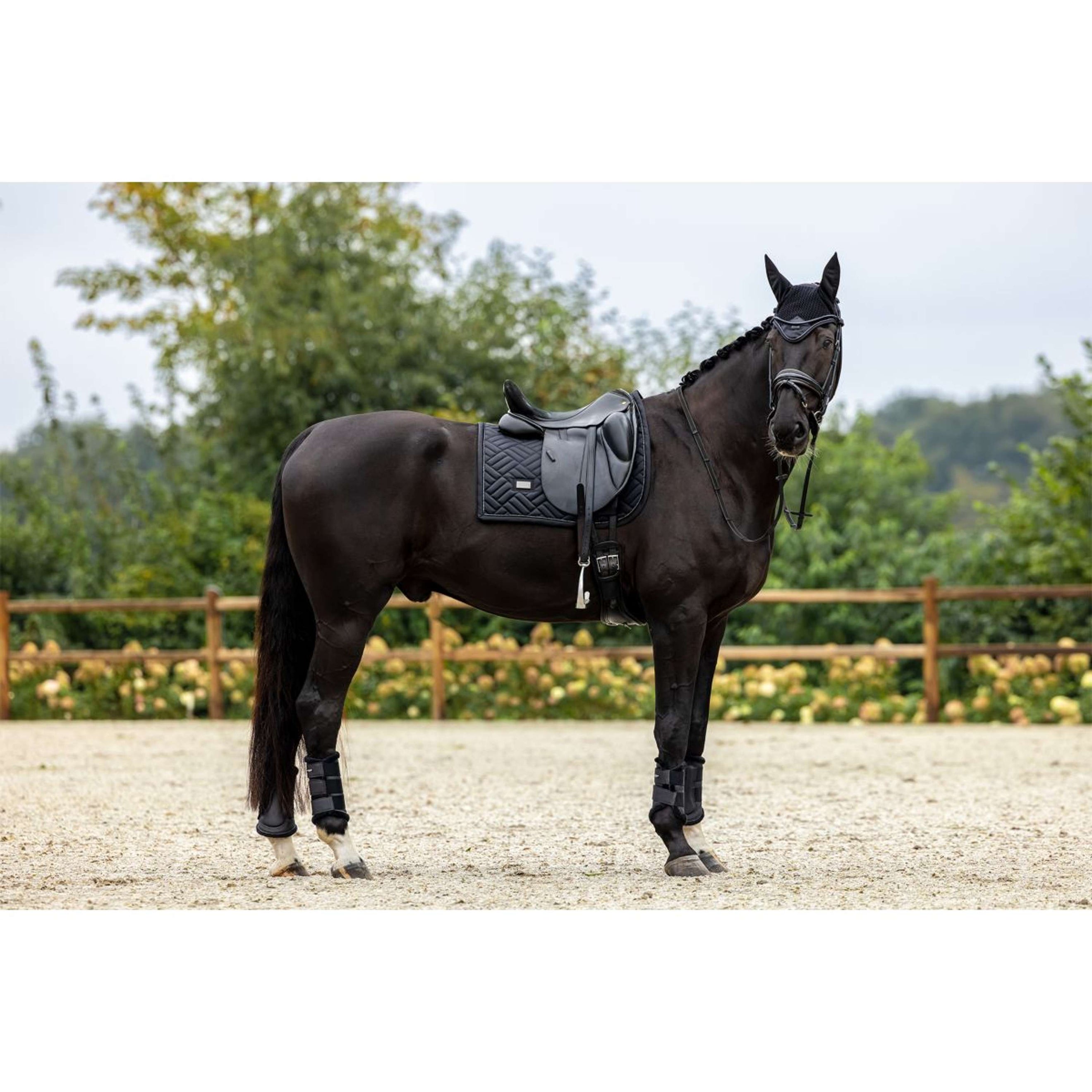 Equestrian Stockholm Zadeldekje Modern Dressuur Zwart