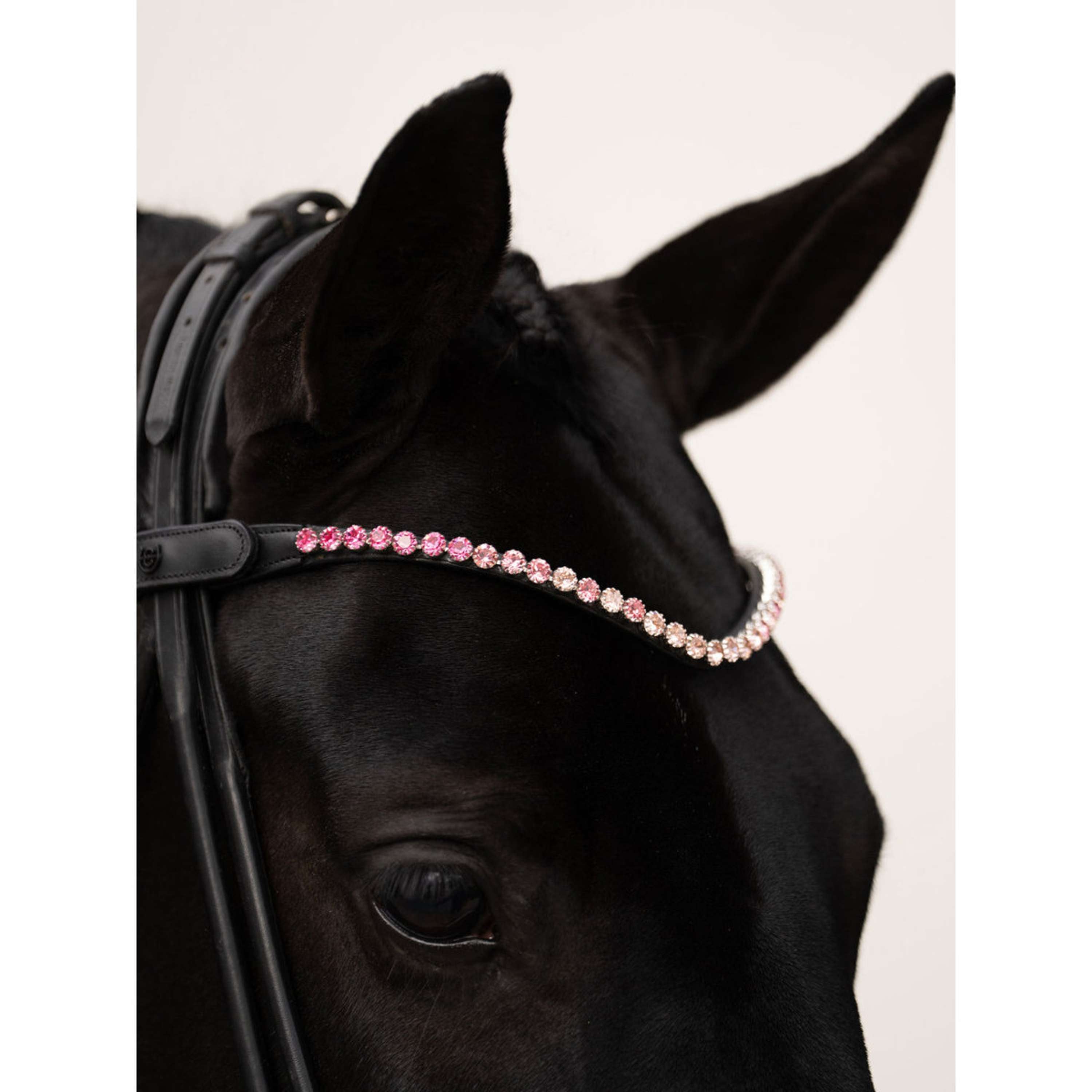 Equestrian Stockholm Frontriem Faded 8mm Roze