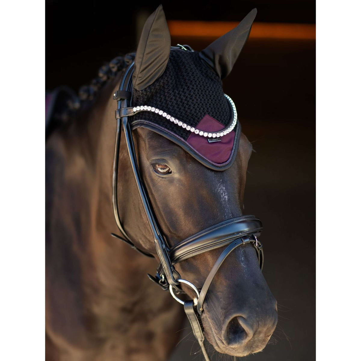 Equestrian Stockholm Oornetje Modern Purple Night