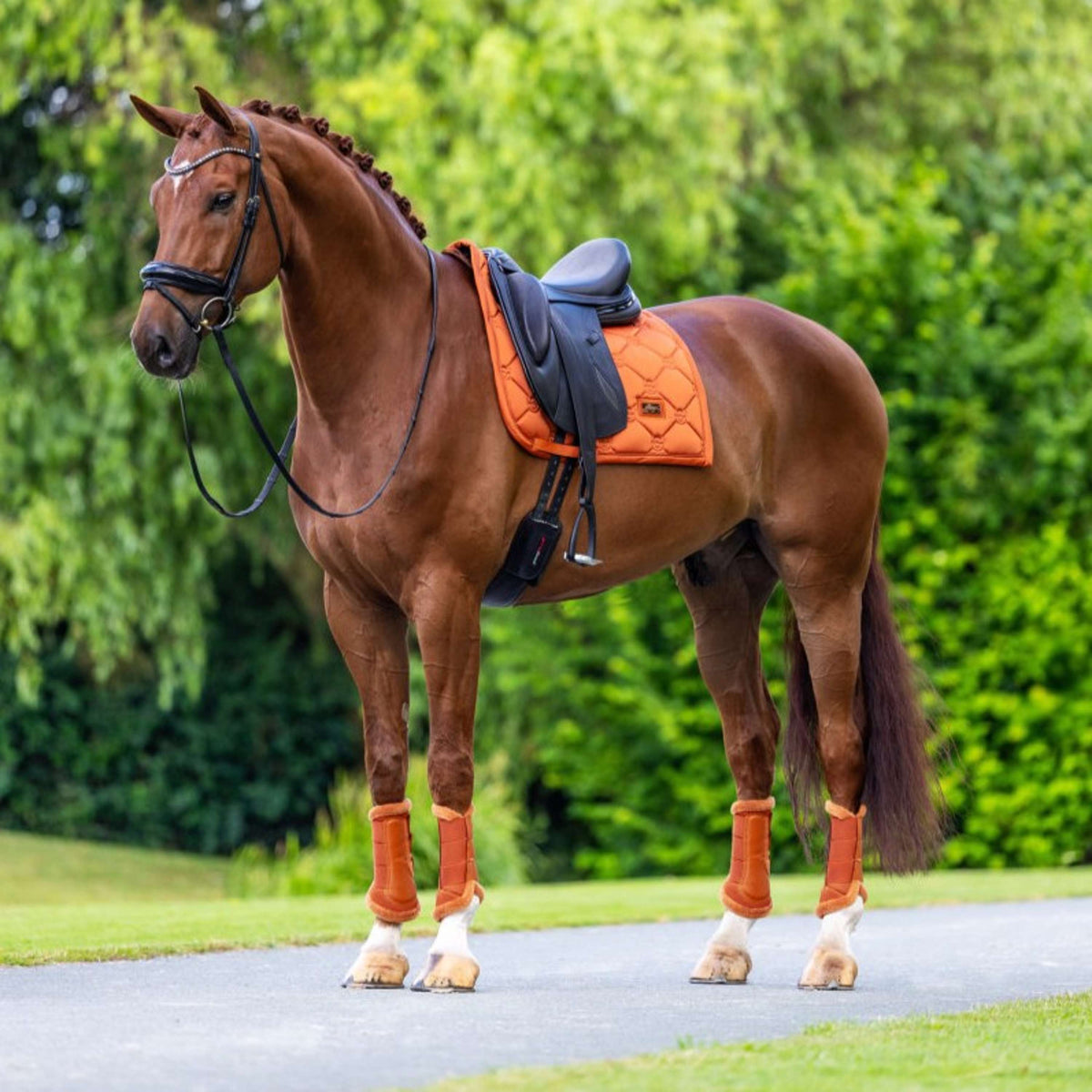 Equestrian Stockholm Zadeldekje Satin Dressuur Chestnut