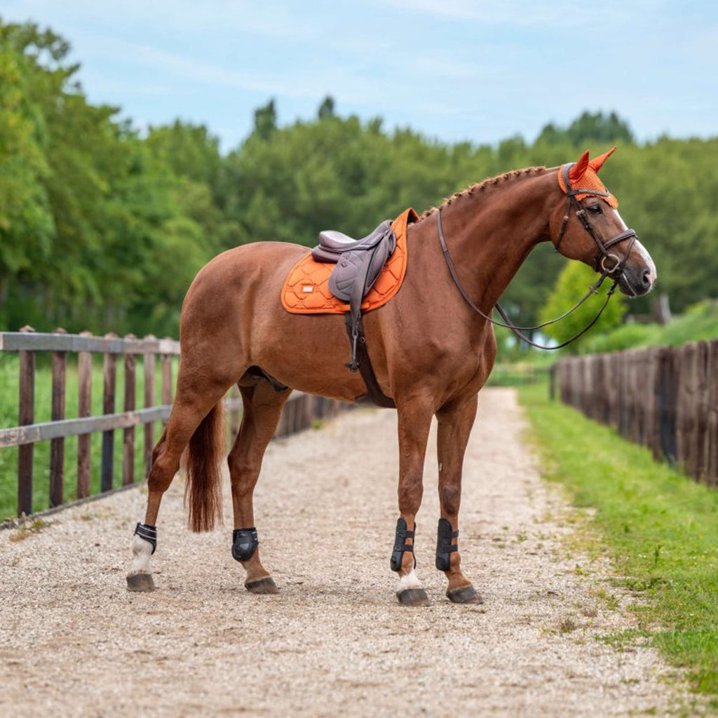 Equestrian Stockholm Oornetje Satin Chestnut