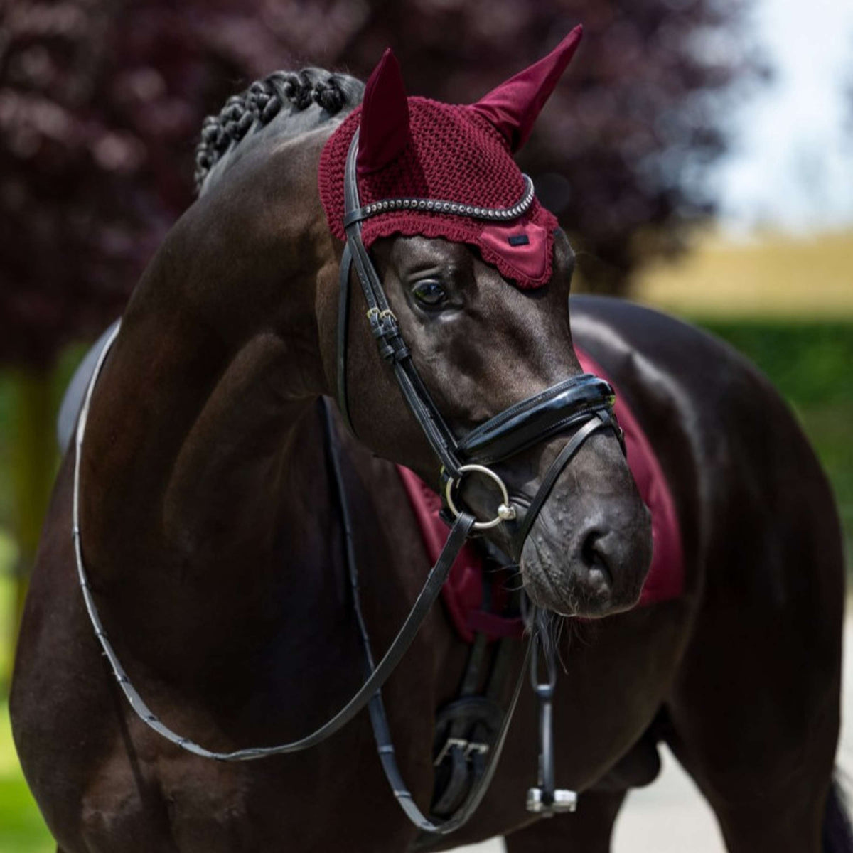Equestrian Stockholm Oornetje Satin Merlot