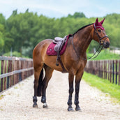 Equestrian Stockholm Oornetje Satin Merlot