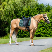 Equestrian Stockholm Zadeldekje Satin Dressuur Sycamore Green