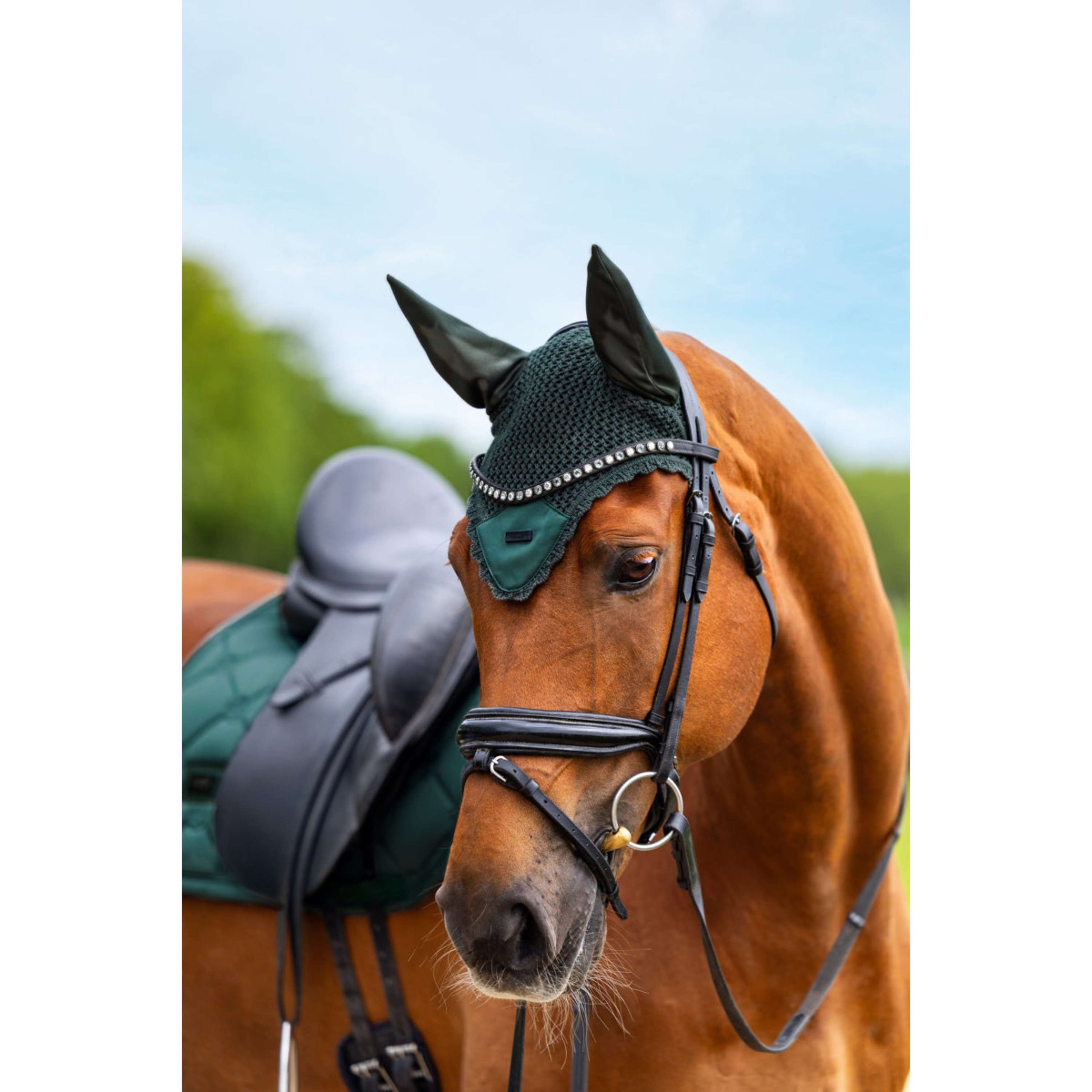 Equestrian Stockholm Oornetje Satin Sycamore Green Equestrian Stockholm Oornetje Satin Sycamore Green