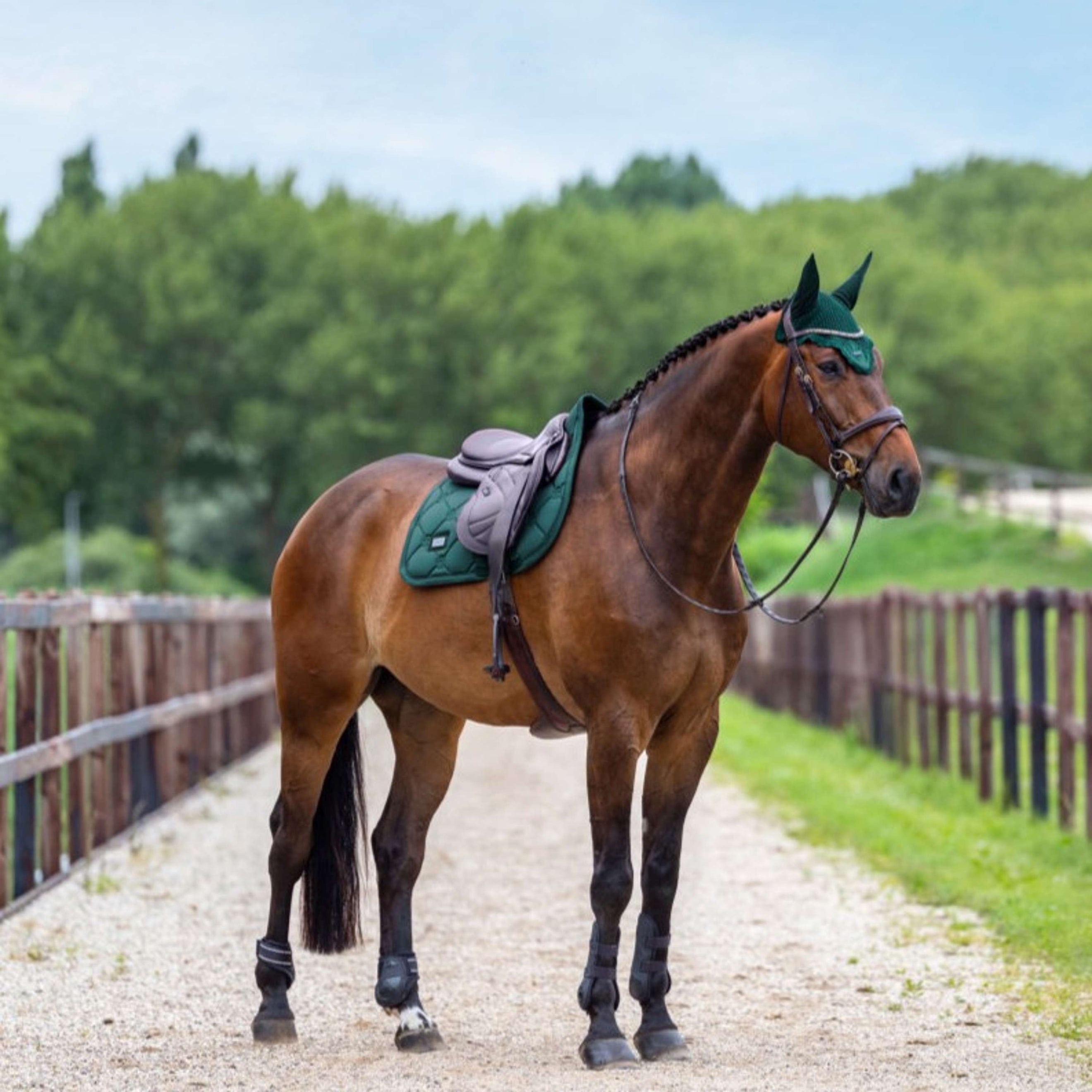 Equestrian Stockholm Zadeldekje Satin Springen Sycamore Green Equestrian Stockholm Zadeldekje Satin Springen Sycamore Green
