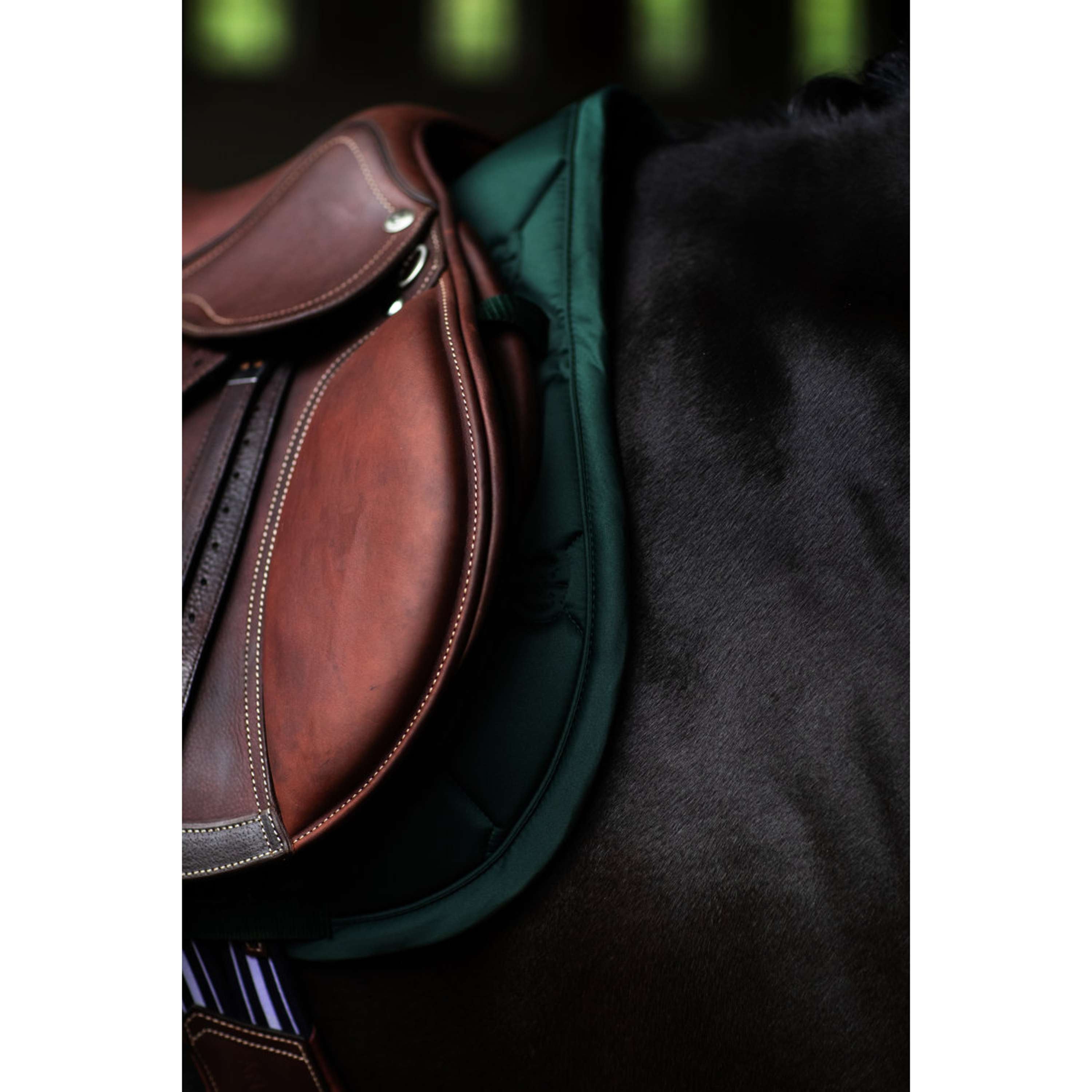 Equestrian Stockholm Zadeldekje Satin Springen Sycamore Green
