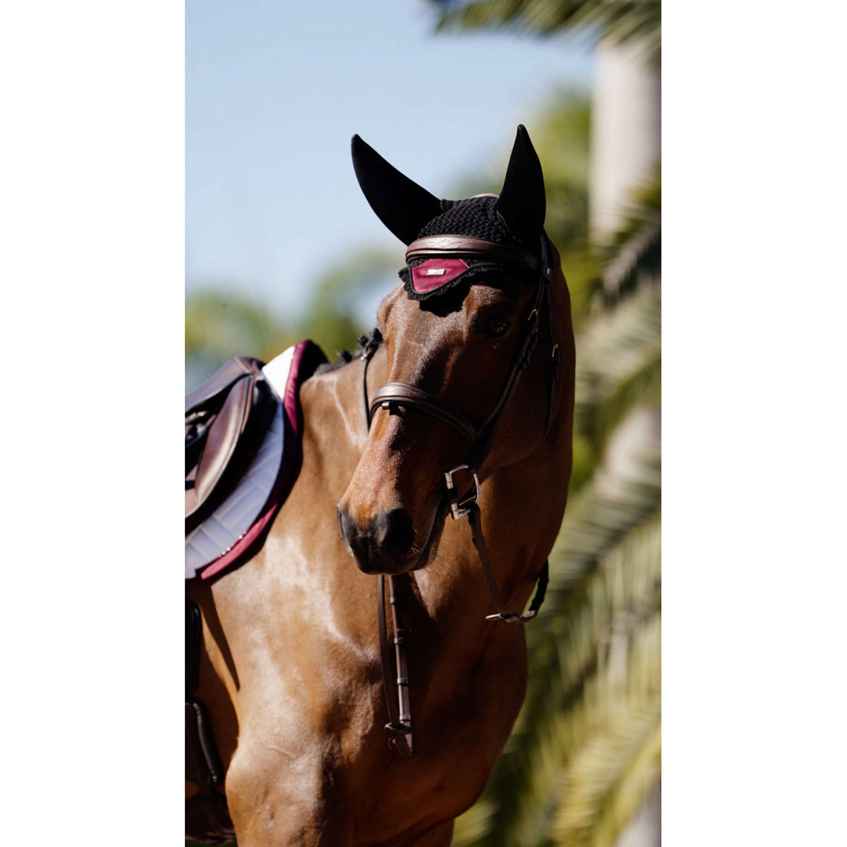 Equestrian Stockholm Oornetje Soundless Merlot