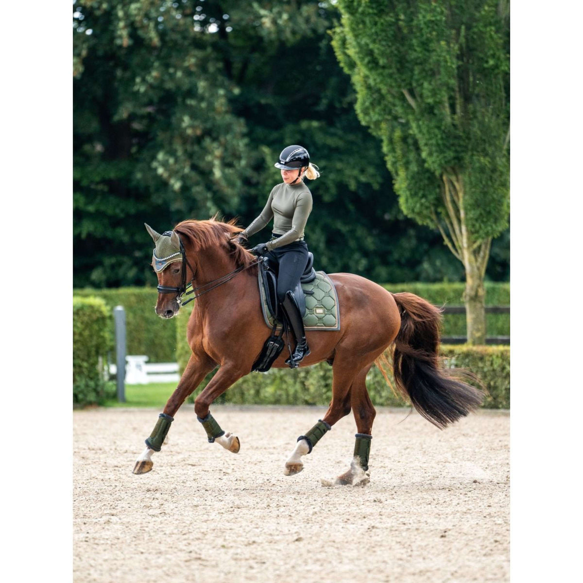 Equestrian Stockholm Zadeldekje Dressuur Striking Valley