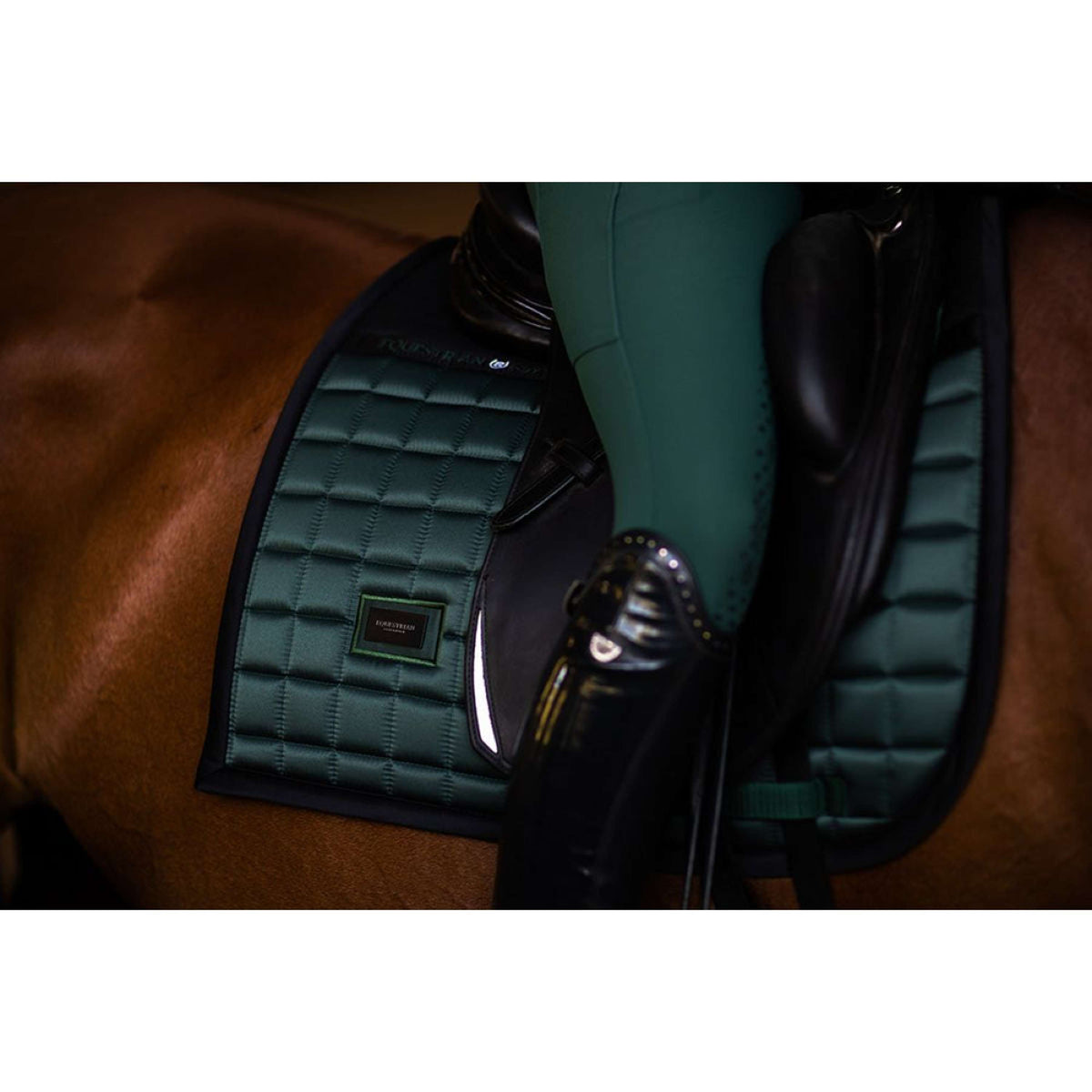 Equestrian Stockholm Zadeldekje Sportive Dressuur Sycamore Green