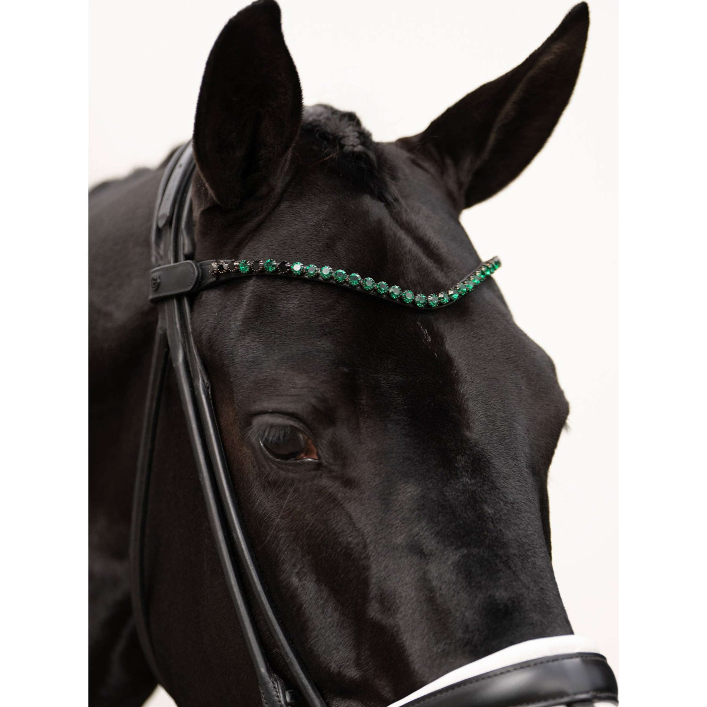 Equestrian Stockholm Frontriem Faded 8mm Sycamore Green