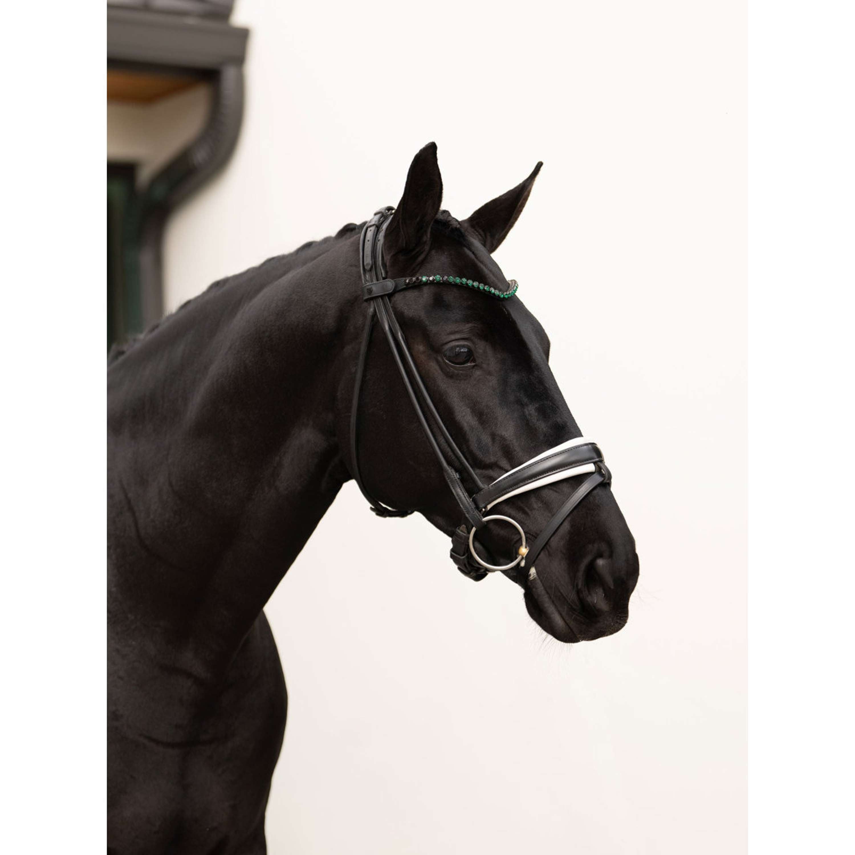Equestrian Stockholm Frontriem Faded 8mm Sycamore Green