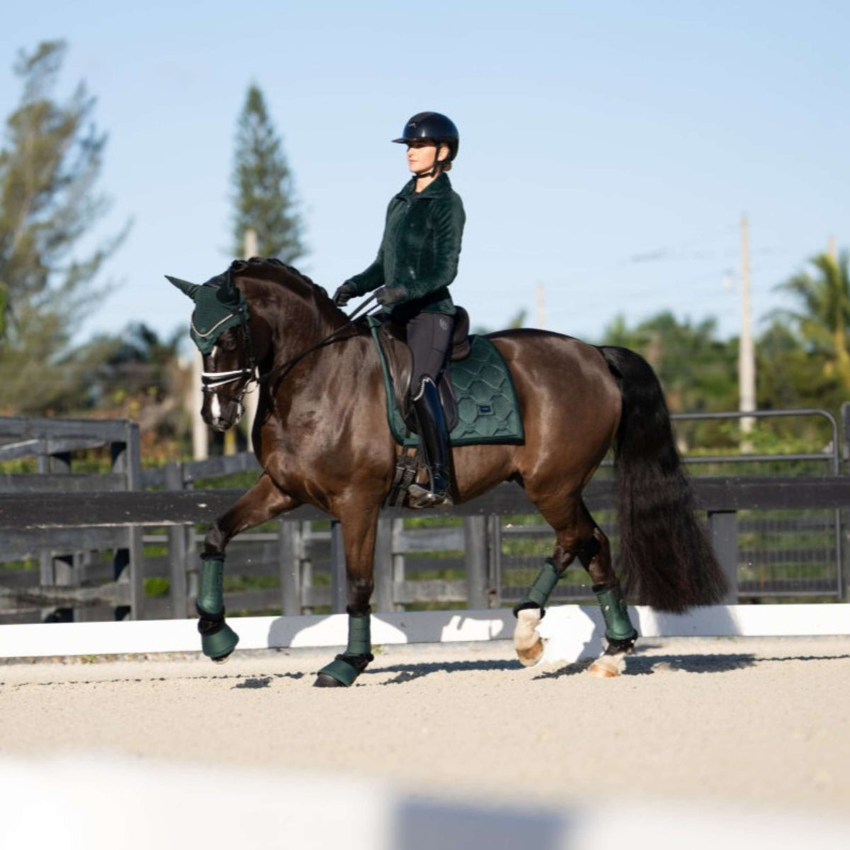 Equestrian Stockholm Springschoenen Sycamore Green