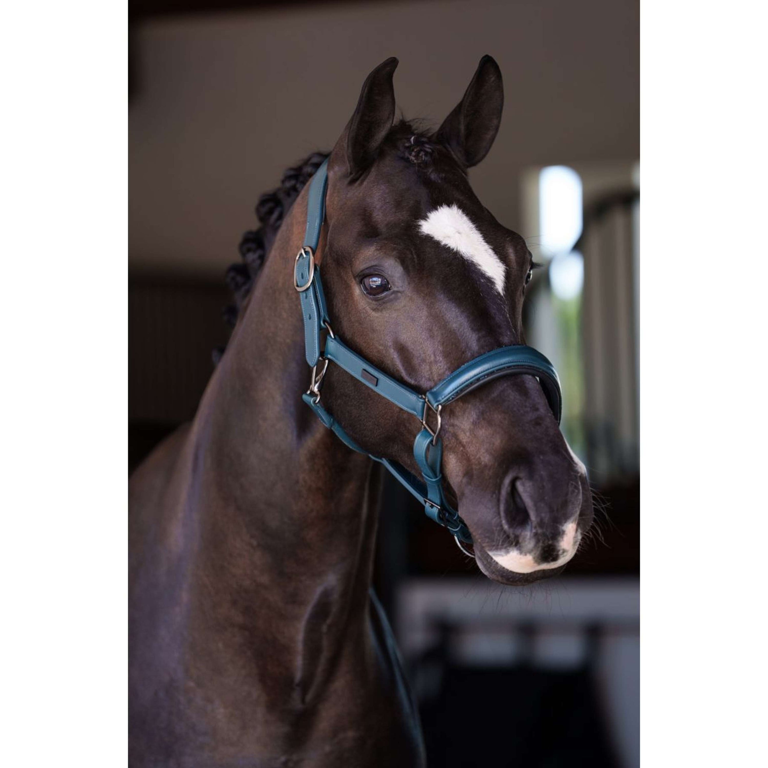 Equestrian Stockholm Halster Glimmer Leather Anatomic Teal Blue Equestrian Stockholm Halster Glimmer Leather Anatomic Teal Blue