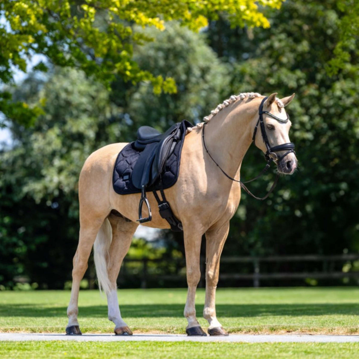 Equestrian Stockholm Zadeldekje Velvet Dressuur Zwart