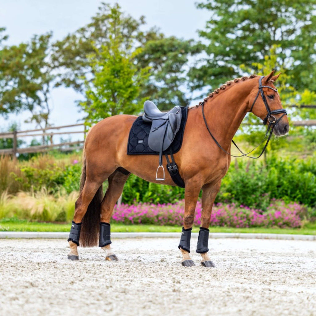 Equestrian Stockholm Zadeldekje Velvet Dressuur Zwart