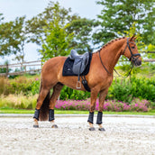 Equestrian Stockholm Zadeldekje Velvet Dressuur Zwart