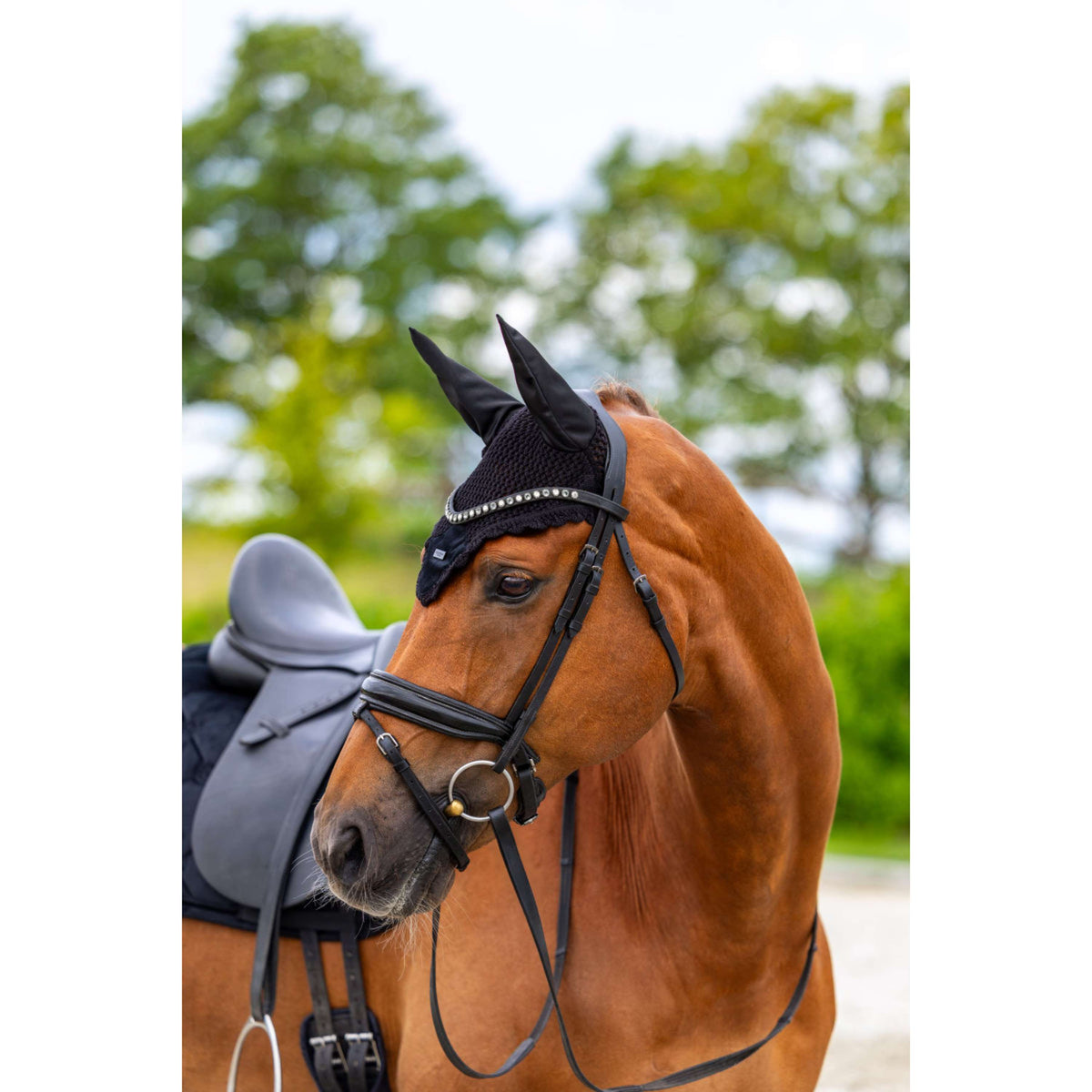 Equestrian Stockholm Oornetje Velvet Zwart